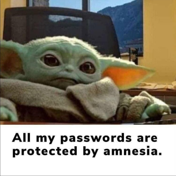 Meet your Posher, Lynn - Picture 11 of 15